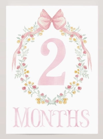 Baby Monthly Milestone Cards, Pink