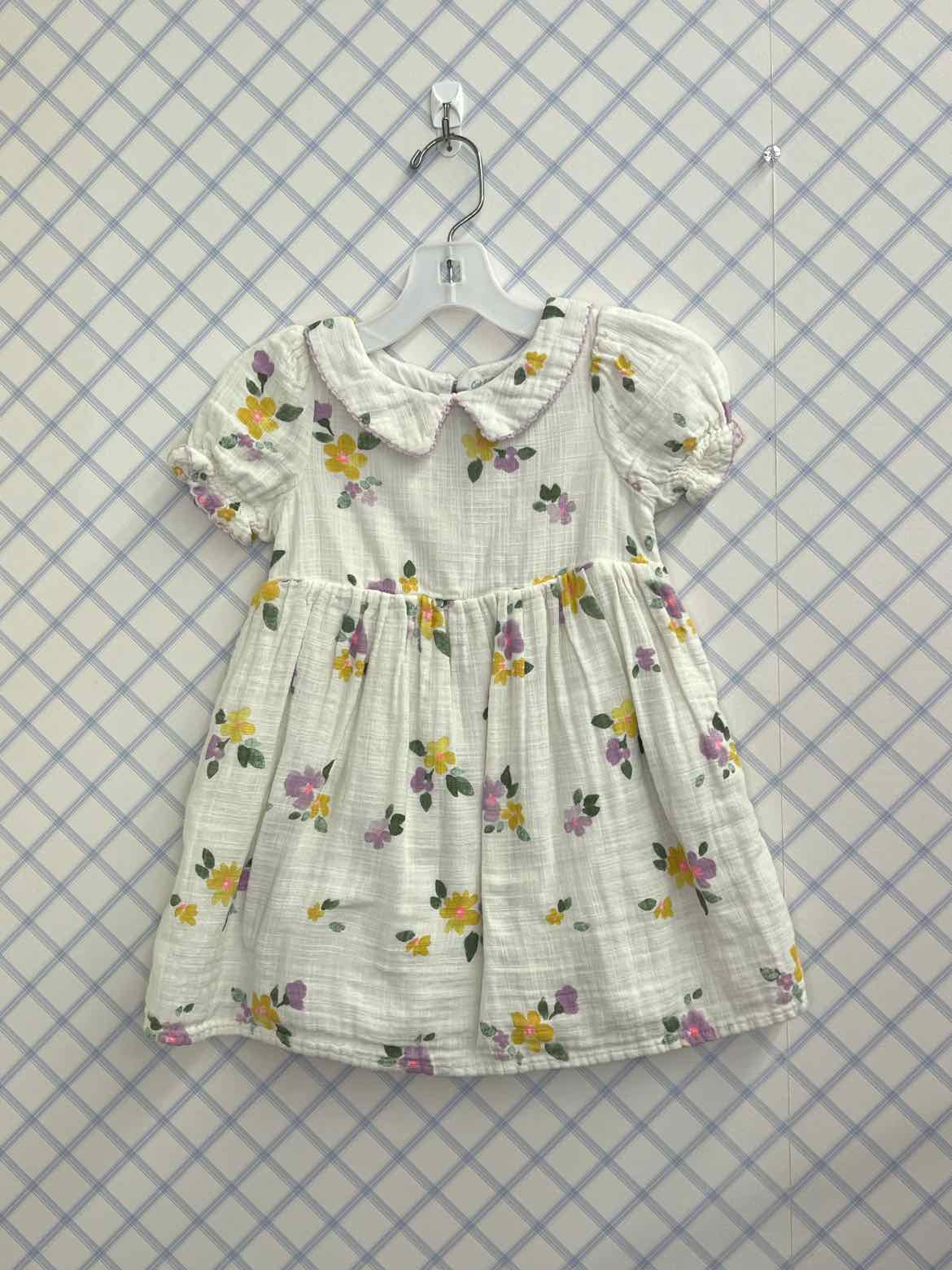 Cat & Jack Child Size 2T Girls Dresses
