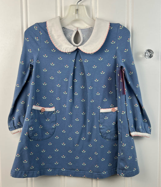 Serendipity Child Size 2/3 Girls Dresses