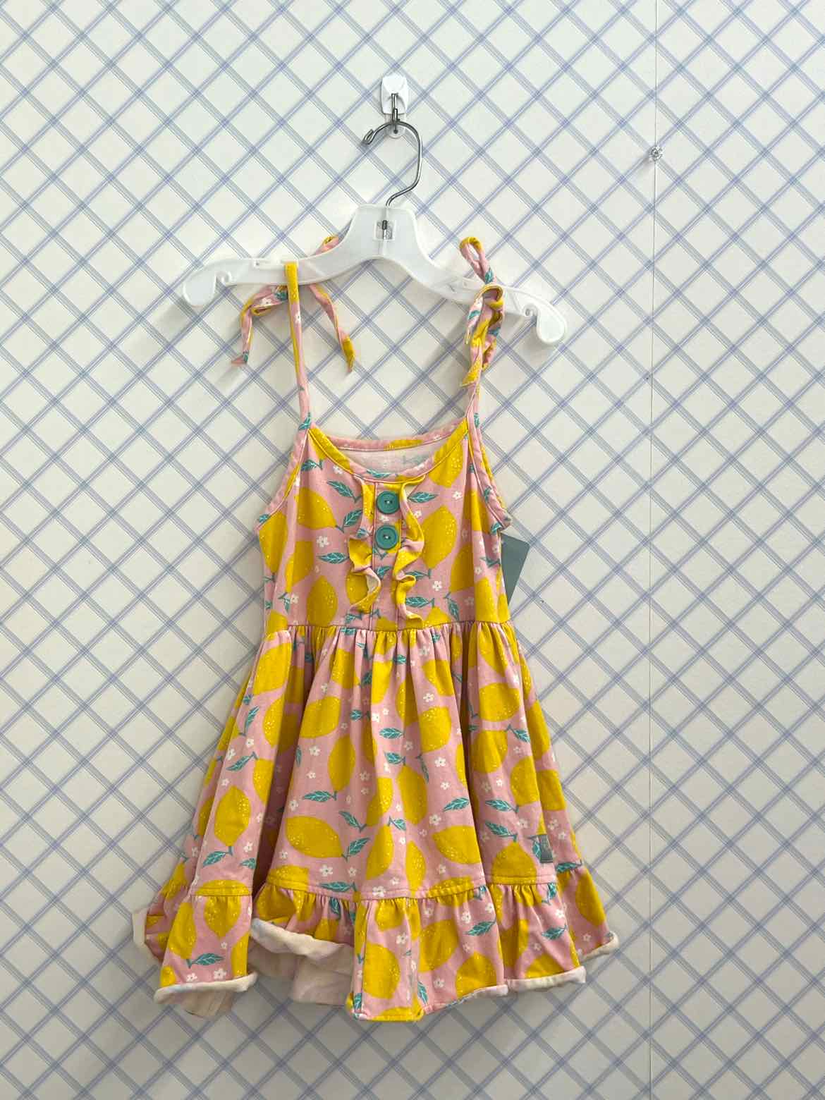 Eleanor Rose Child Size 2/3 Girls Dresses