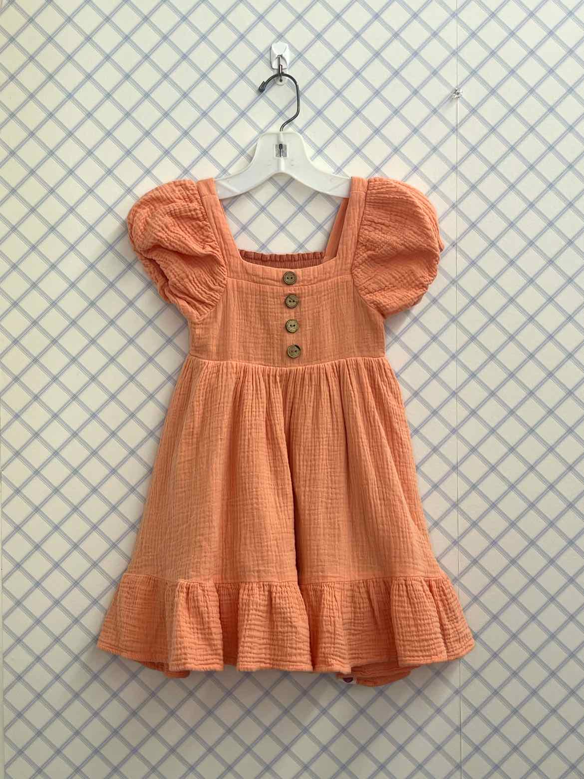 Cheeky Plum Child Size 5 Girls Dresses