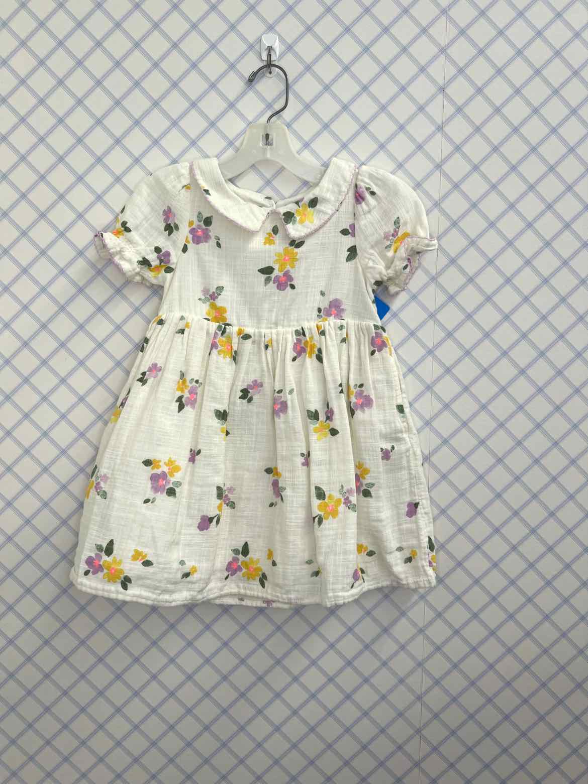 Cat & Jack Child Size 3T Girls Dresses
