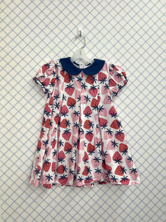 James & Lottie Child Size 6 Girls Dresses