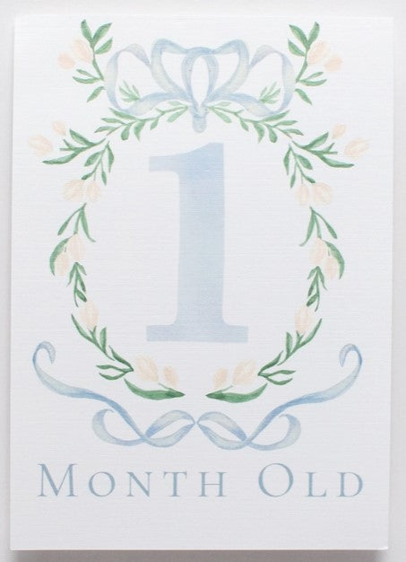 Baby Monthly Milestone Cards, Blue