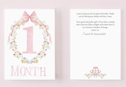 Baby Monthly Milestone Cards, Pink